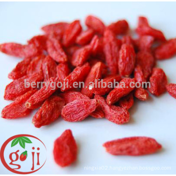 Free Pesticide organic goji berries